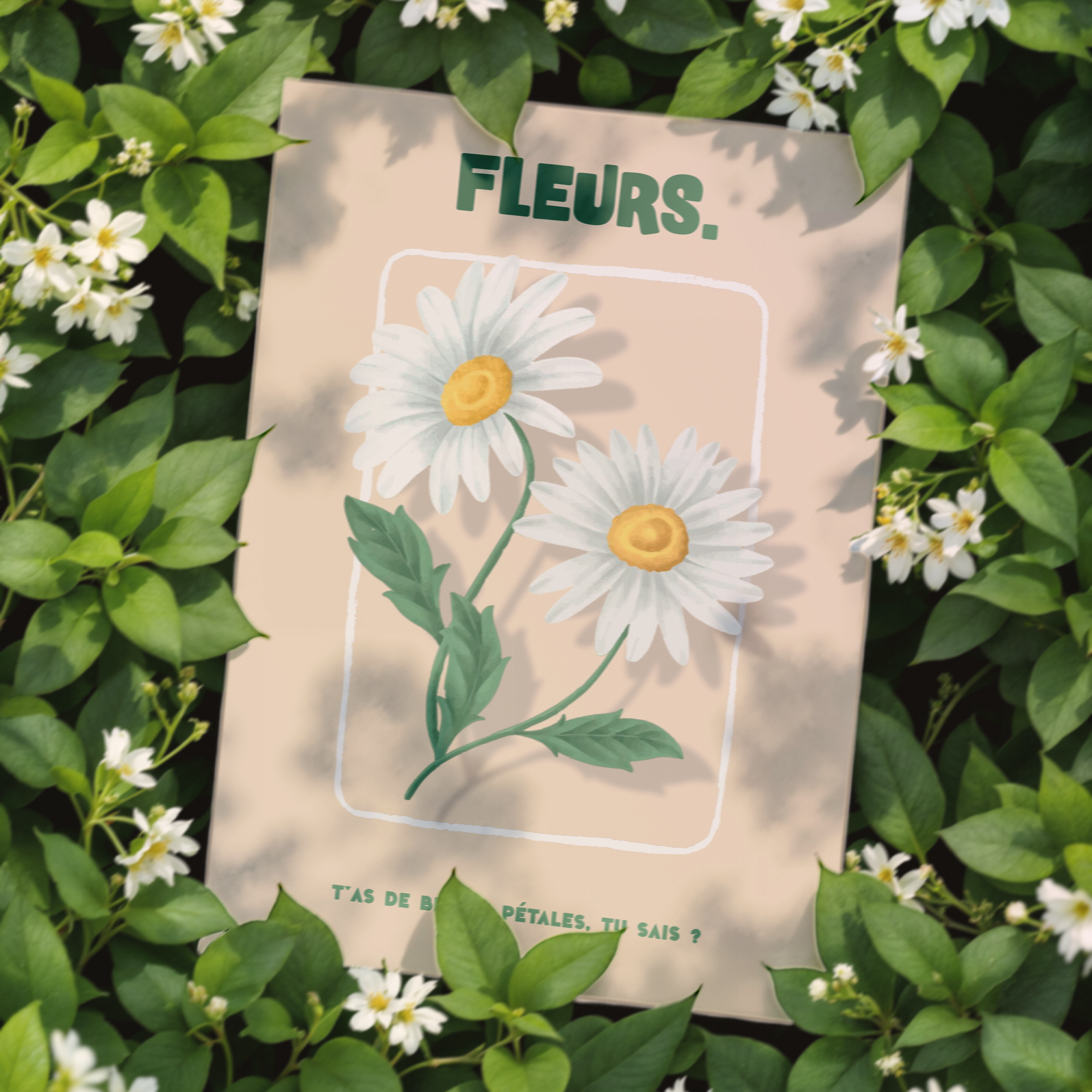 Affiche décorative de deux marguerites blanches sur fond beige avec encadrement bois, illustration florale vintage accompagnée du message humoristique "T'as de belles pétales, tu sais ?", idéale pour la décoration murale d’intérieur, style naturel et poétique.